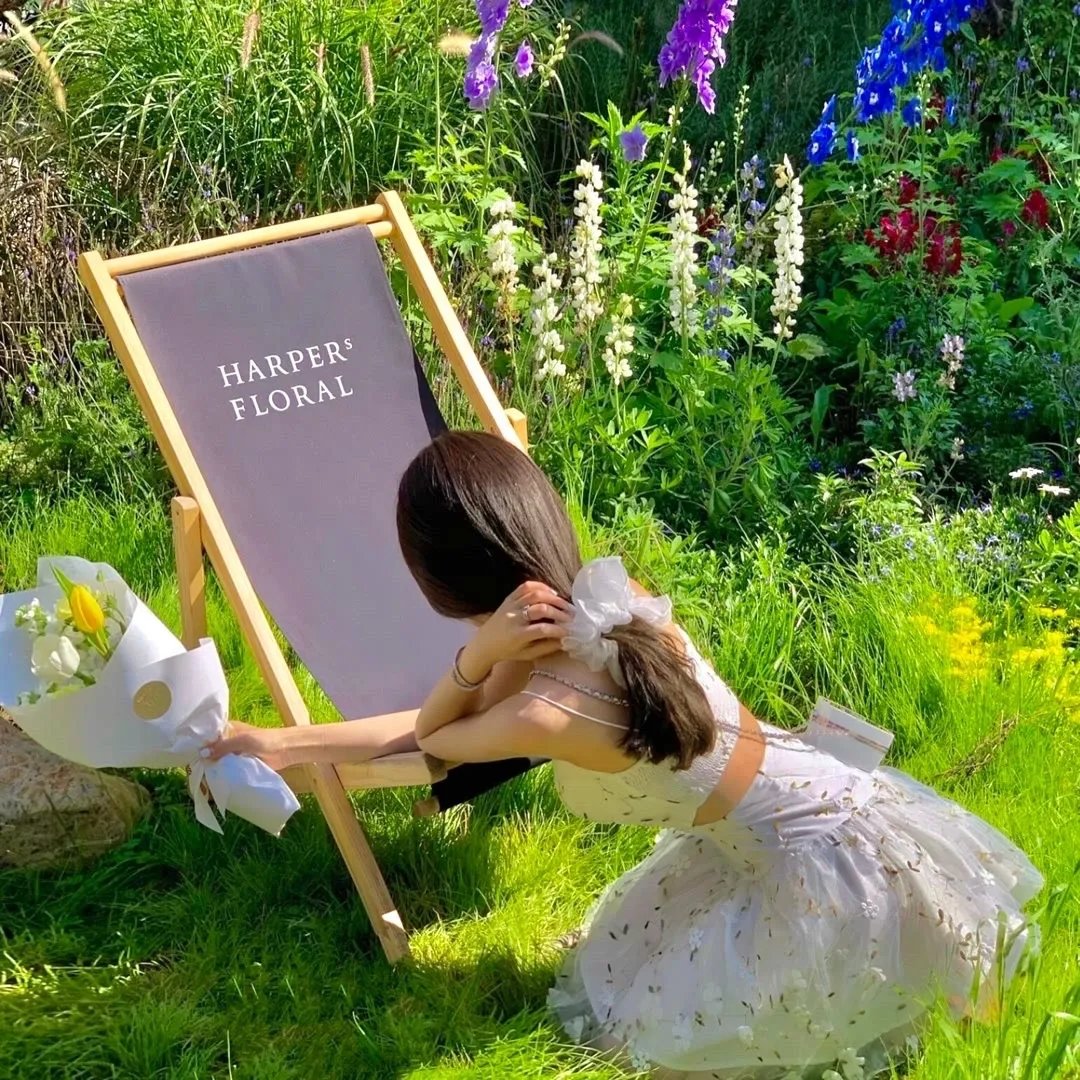 亚刻奥特曼国语